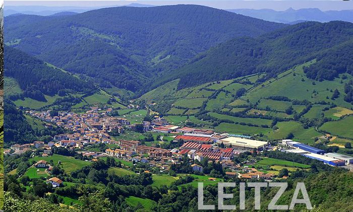 Leitzako Aholkularitza